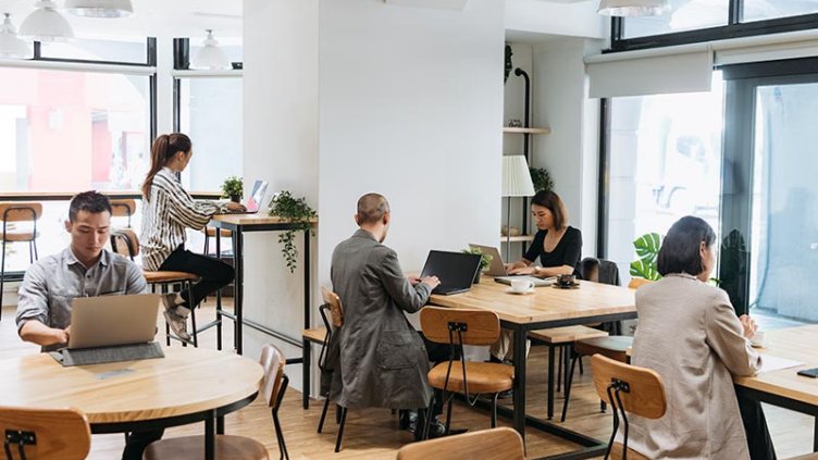 Employees working on laptops in modern office room