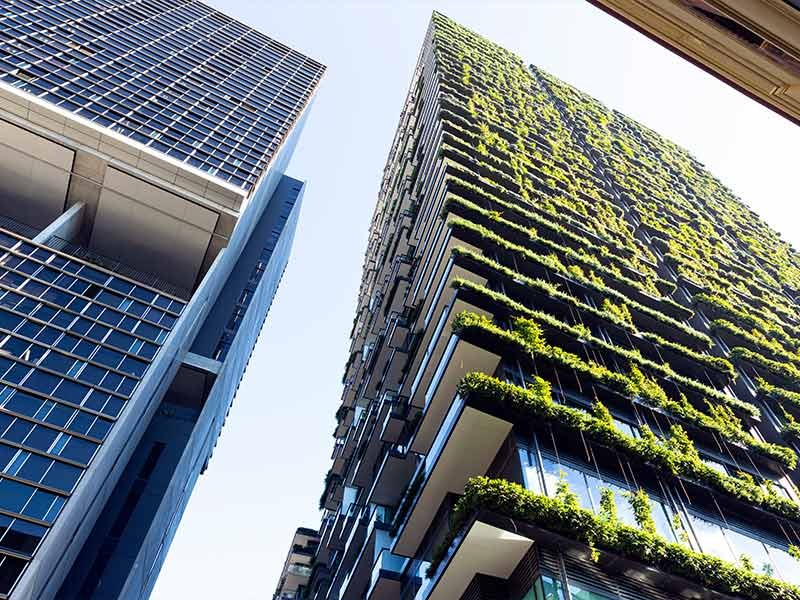 high rise buildings with greenery