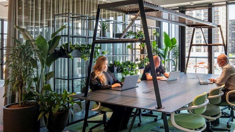 Employees working in a green environment